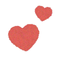 Their favorites, on repeat